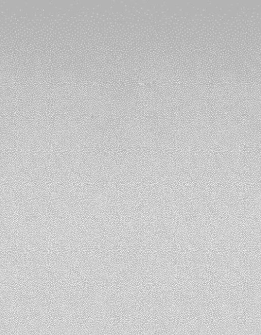 3M Pop-S SH2FGPP-S : Gradient Style Window Film full view.