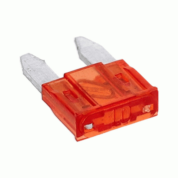 InstallBay ATM Style Fuses 10A